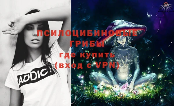 кокс Алзамай