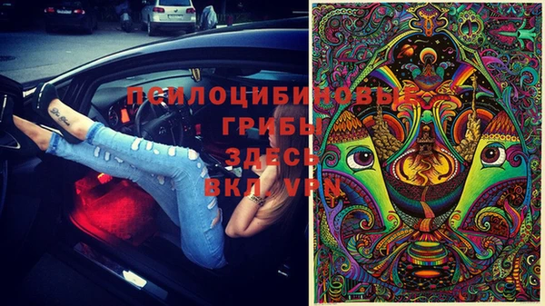 твердый Алексин