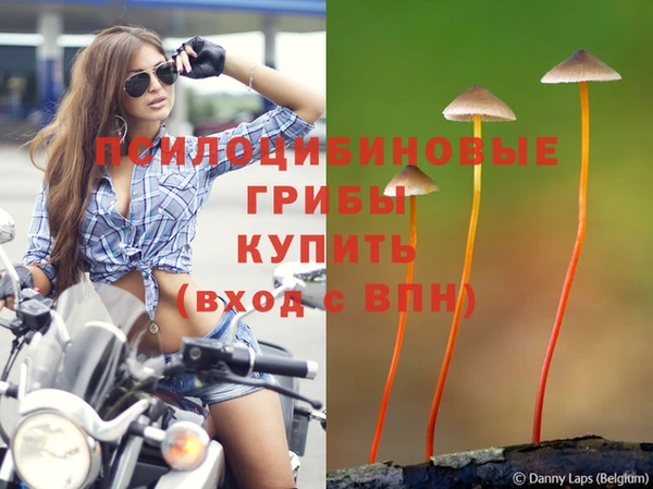 твердый Алексин