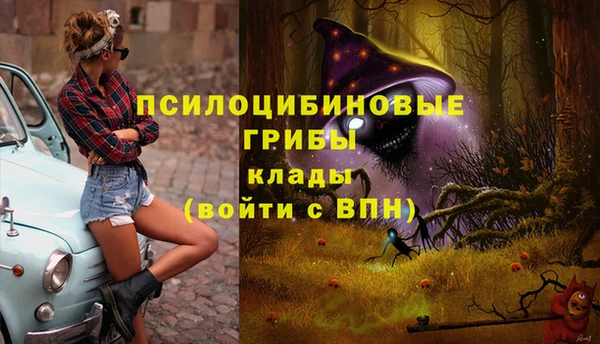 твердый Алексин