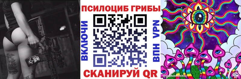 Галлюциногенные грибы мицелий  shop Telegram  Заполярный  сколько стоит 